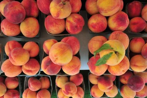 Peach Stock Photos