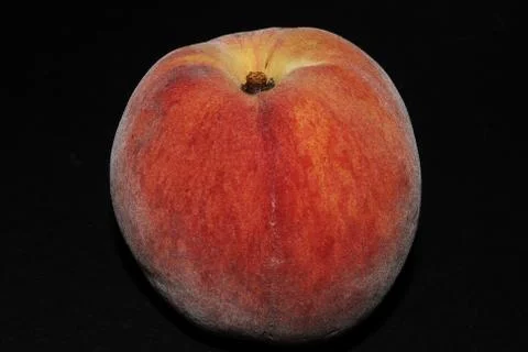 Peach Stock Photos