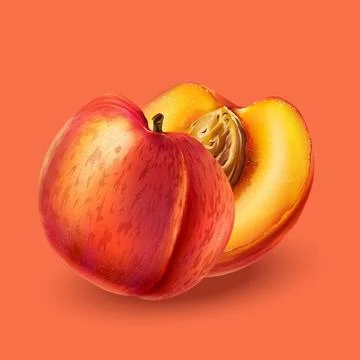 Peach on pink background Stock Illustration