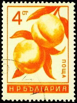 Peach on postage stamp Stock Photos