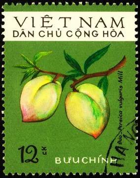 Peach on postage stamp Stock Photos