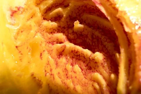 Peach pulp close-up Stock Photos