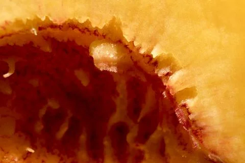 Peach pulp close-up Stock Photos