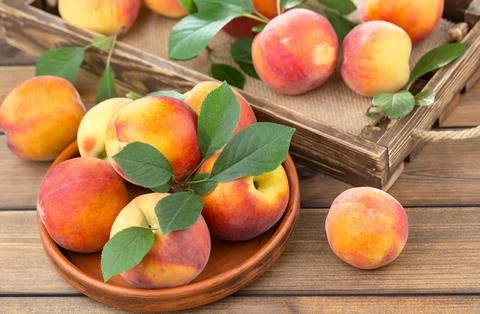 Peach is a ripe fruit. Stock Photos