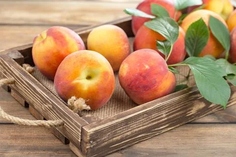 Peach is a ripe fruit. Stock Photos