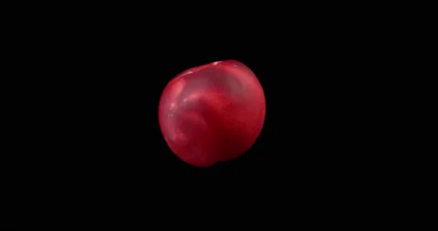 Peach rotating with black background Stock Footage 233634325