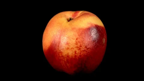 Peach Rotating 库存影片 123920040