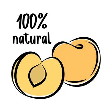 Peach sketch logo. Vector illustration. Stock Illustration