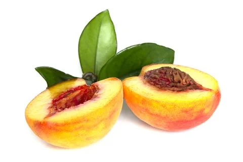 Peach sliced into two halves with leaf on white background isolated close up 스톡 사진