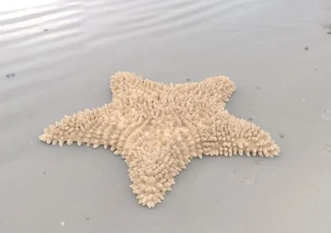 Peach starfish on sandy beach 3d illustration Stock Illustration