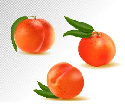 Peach. Sweet fruit. 3d vector icons set. Realistic illustration Stock Illustration