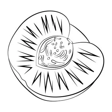 The peach is a thin line. Vector on a white background Stock Illustration