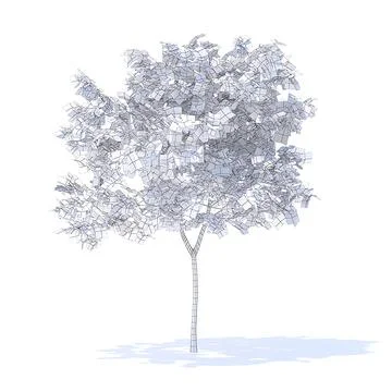 3D Model: Peach Tree 3D Model 2.3m #91540977 | Pond5