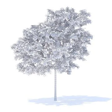 3D Model: Peach Tree 3D Model 3m ~ Buy Now #91503231 | Pond5