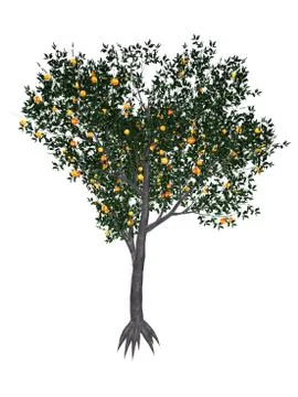 Peach tree - 3D render Stock Illustration