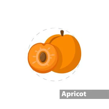 Peach vector flat illustration icon Stock Illustration