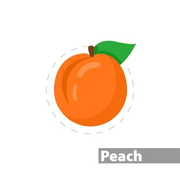 Peach vector flat illustration icon Stock Illustration