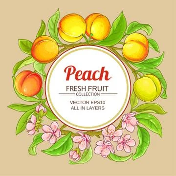 Peach vector frame Stock Illustration