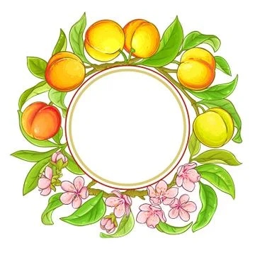 Peach vector frame Stock Illustration
