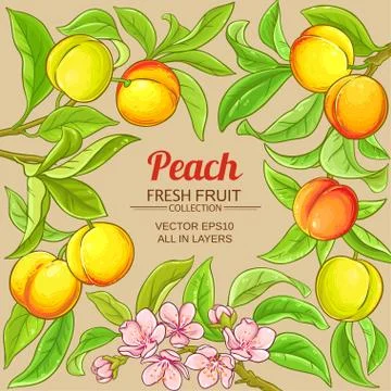 Peach vector frame Stock Illustration