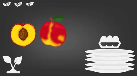 Peach  - Vector Graphics - Food Animation - grey Stock Footage 61297552