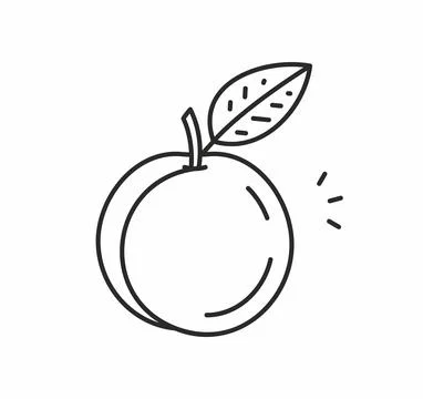 Peach vector icon Stock Illustration