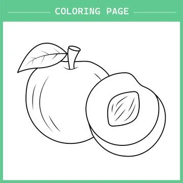 Peach Vector Stock Illustration