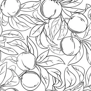 Peach vector pattern Stock Illustration