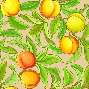 Peach vector pattern Stock Illustration