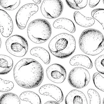 Peach vector seamless pattern. Hand drawn full and sliced pieces Stock Illustration