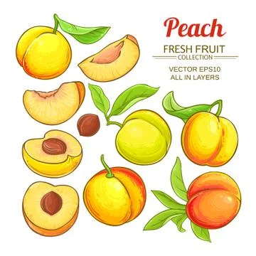 Peach vector set Stock Illustration