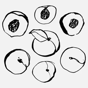 Peach vector set of stock illustrations in hand drawn doodle style. Stock Illustration
