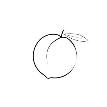 Peach vector thin line icon Stock Illustration