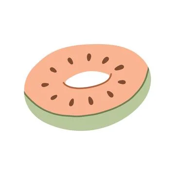 Peach watermelon fruit pattern inflatable swim ring vector illustration. Summer Stock Illustration