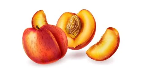 Peach on white background Stock Illustration