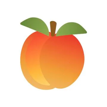 Peach on white background. Vector illustration in trendy flat style. EPS 10. Stock Illustration