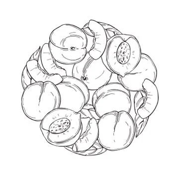 Peach on white background. Vector  illustration. Stock Illustration