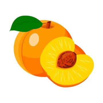 The peach is whole with a leaf and half with a stone. vector isolated on a wh Illustrazione stock
