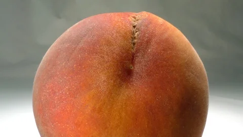 Peach_4 库存影片 115354096