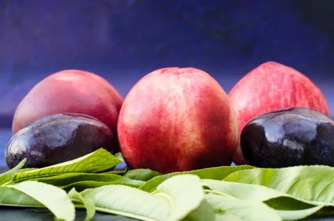 Peaches and plums side view. Fruits on a blue background. Healthy food and ve Stock Photos