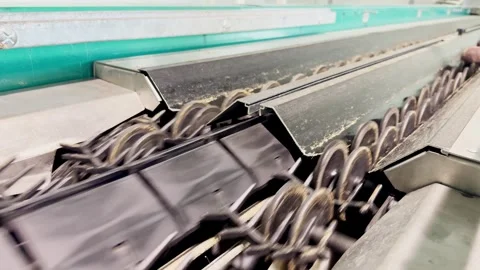 Peaches being weighed on a production line using a calibration machine Stock Footage 305162672