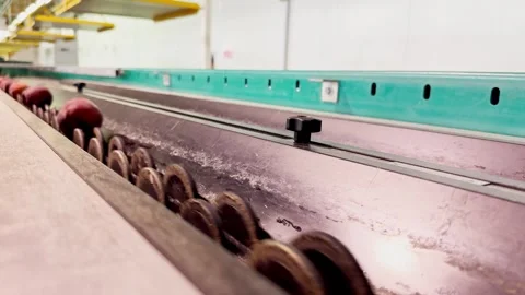 Peaches being weighed on a production line using a calibration machine Video stock 305162731
