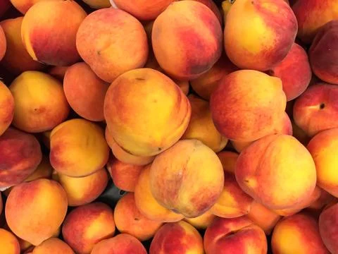 Peaches - Duraznos Stock Photos