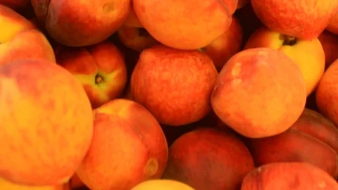 Peaches Stock Footage 90976906
