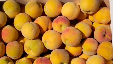 Peaches in a Fruit Box Foto stock