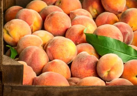 Peaches Stock Photos