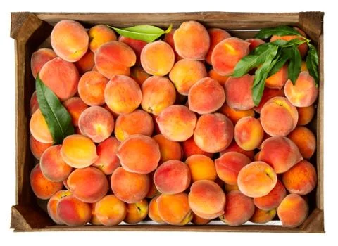 Peaches Stock Photos