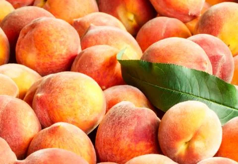 Peaches Stock Photos