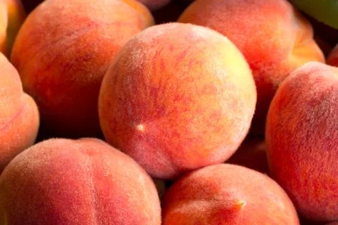 Peaches Stock Photos