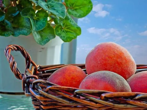 Peaches Foto stock